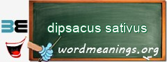 WordMeaning blackboard for dipsacus sativus